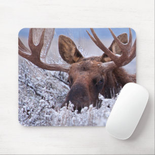 Mousepad Gelo e neve Grand Teton National Park, Wyoming