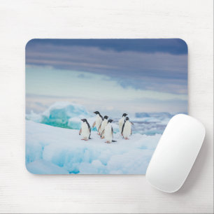 Mousepad Gelo e neve Pinguins de adenda Antártica