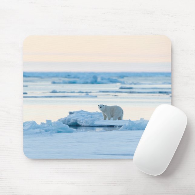 Mousepad Gelo e neve | Polar Bear Iceberg Noruega (Com mouse)