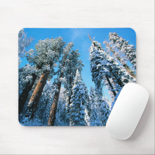 Mousepad Gelo e neve Sequoia National Park, Califórnia