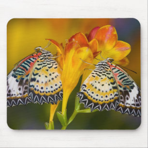Mousepad Gêmeos de Borboleta Tropical