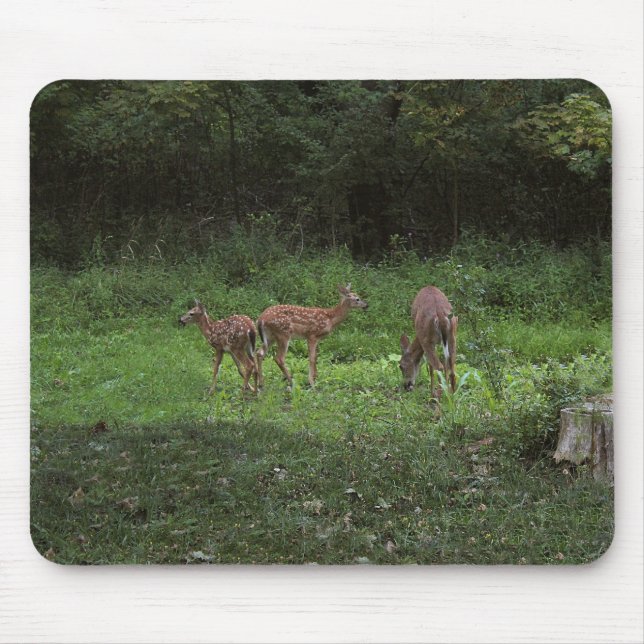 Mousepad Gêmeos e seu Mama (Frente)