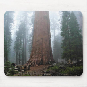 Mousepad General Sherman Tree, Sequoia, CA