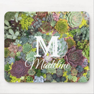 Mousepad Genéricos Suculentos