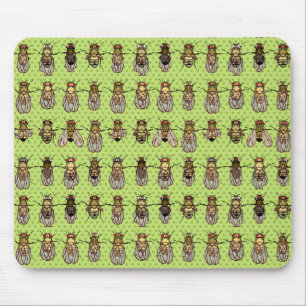 Mousepad Genética da mosca de fruta da drosófila - mutant