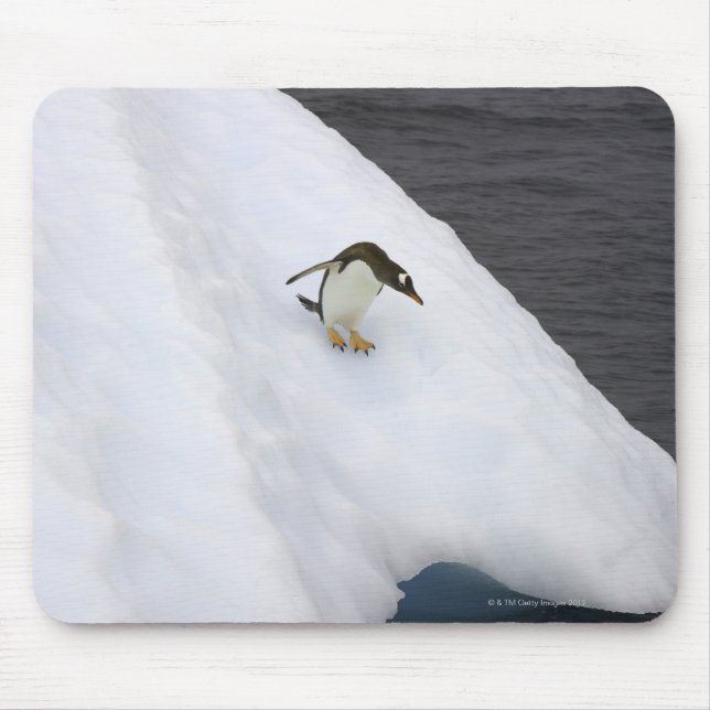 Mousepad Gentoo penguin Pygoscelis papua) em pé (Frente)