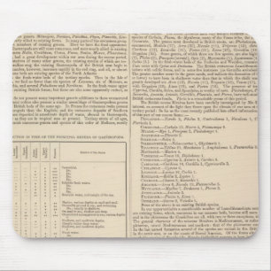 Mousepad Geologia e Paleontologia das Ilhas Britânicas