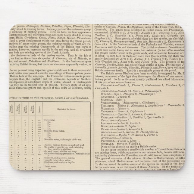 Mousepad Geologia e Paleontologia das Ilhas Britânicas (Frente)