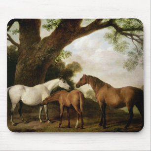 Mousepad George Stubbs Dois Shafto Mares e um Foal, 1774