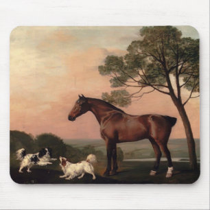 Mousepad George Stubbs- um caçador da baía com dois