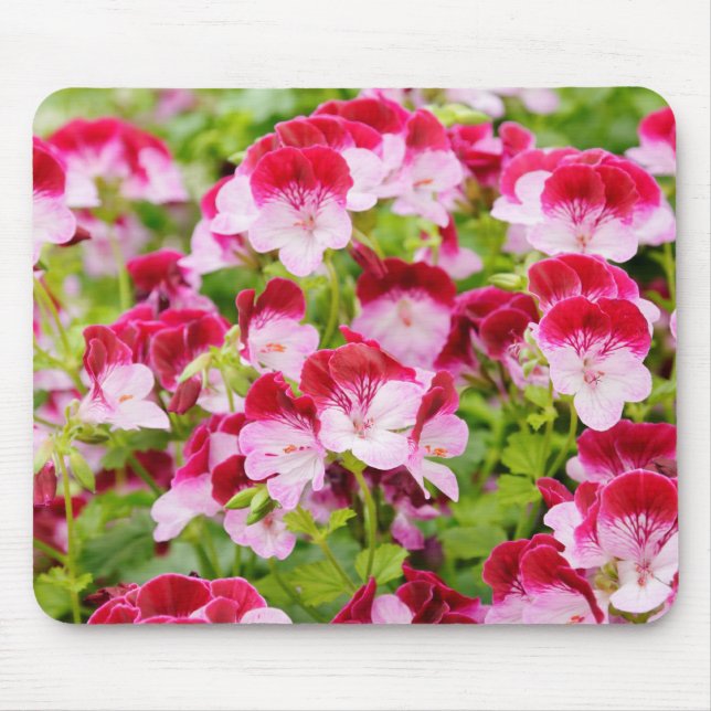 Mousepad gerânio (Frente)