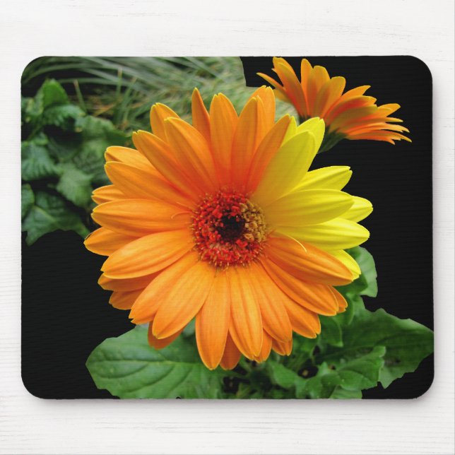 MOUSEPAD GERBER DAISY-MOUSEPAD (Frente)