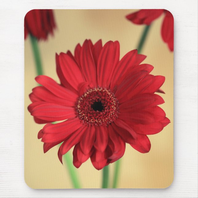 Mousepad Gerbera (Frente)