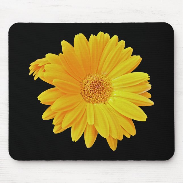 Mousepad Gerbera Daisy (Gerbera hybrida) - Amarelo (Frente)