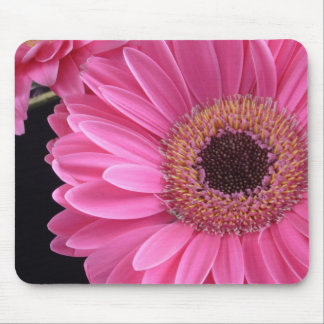 Mousepad Gerbera Rosa