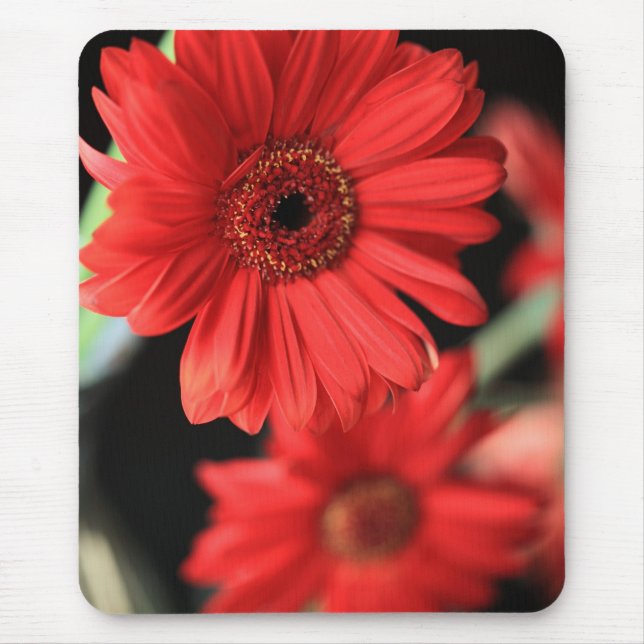 Mousepad Gerberas (Frente)