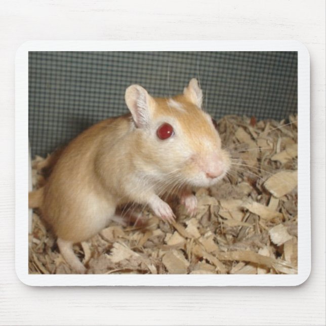 Mousepad Gerbil bonito (Frente)