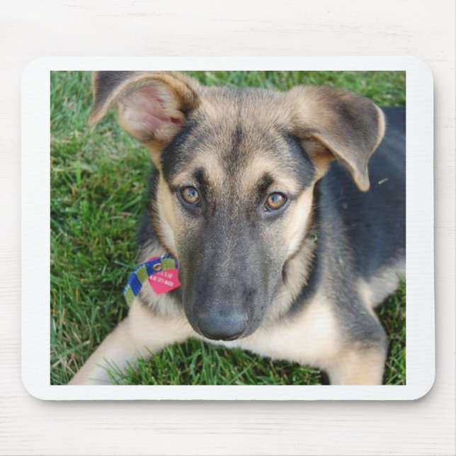 Mousepad German shepherd (Frente)