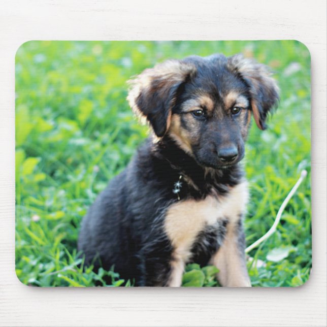 Mousepad German shepherd (Frente)