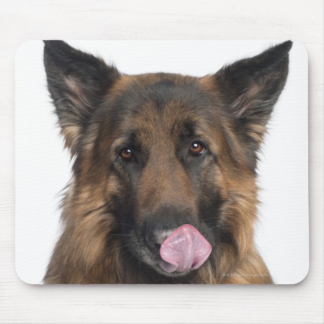 Mousepad German shepherd (Frente)