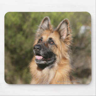 Mousepad German shepherd de cabelos compridos 1