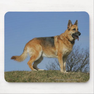Mousepad German shepherd de cabelos compridos 2 de Brown