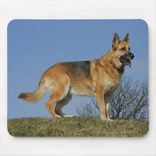 Mousepad German shepherd de cabelos compridos 2 de Brown (Frente)