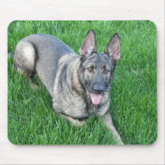Mousepad German shepherd do Sable