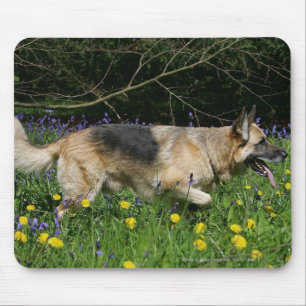 Mousepad German shepherd em flores amarelas