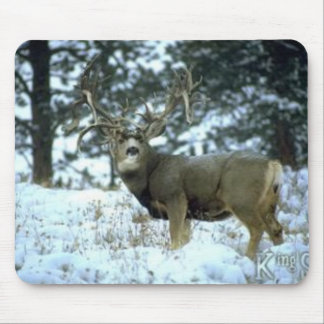 Mousepad GetAttachment