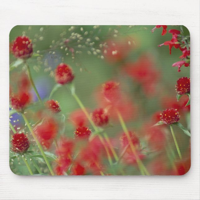 Mousepad Ghomphera_zazzle de P2290C_strawberry (Frente)