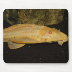 Mousepad Gibbiceps