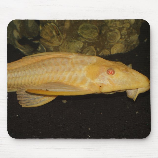 Mousepad Gibbiceps (Frente)