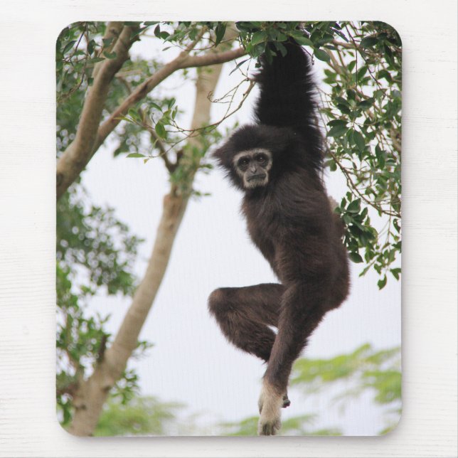 Mousepad Gibbon Swing de Árvore (Frente)