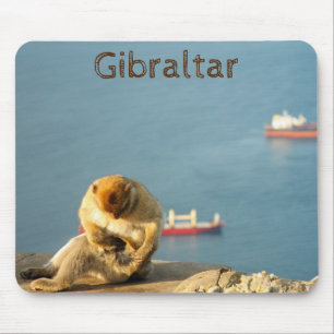 Mousepad Gibraltar Barbary