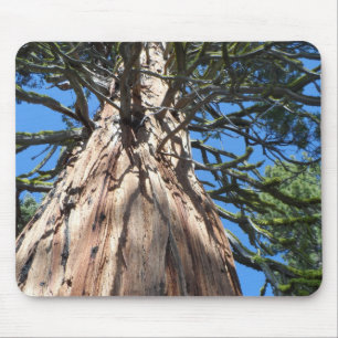Mousepad Gigante da Califórnia