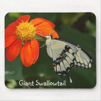 Mousepad gigante de Swallowtail
