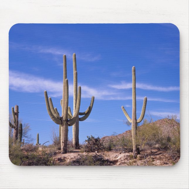 Mousepad Gigante multiarmado Saguaro cactus, Saguaro (Frente)