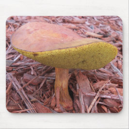 Mousepad Gilled Bolete Mushroom