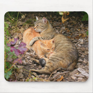 Mousepad Ginger Cat