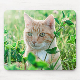 Mousepad Ginger Cat com olhos verdes na grama