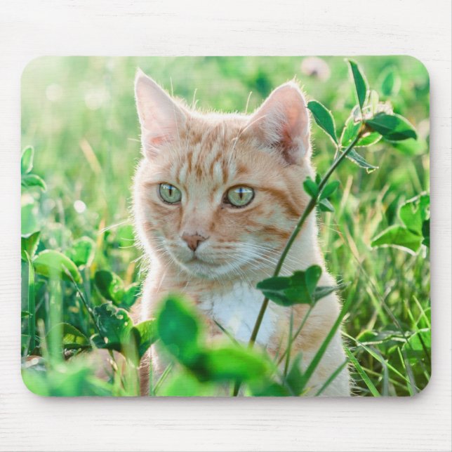 Mousepad Ginger Cat com olhos verdes na grama (Frente)