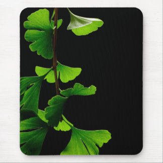Mousepad Ginkgo_Biloba_Leaves_-_Black_Background