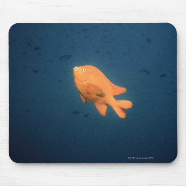 Mousepad Girabaldi (Frente)