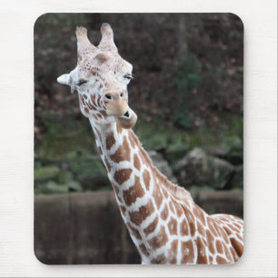 Mousepad Girafa