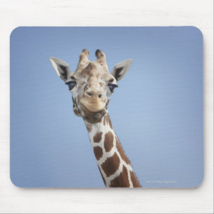 Mousepad Girafa 2