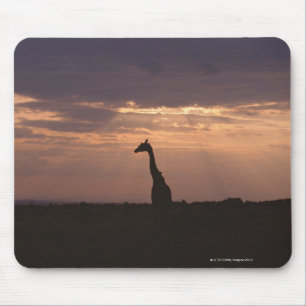 Mousepad Girafa de Massai