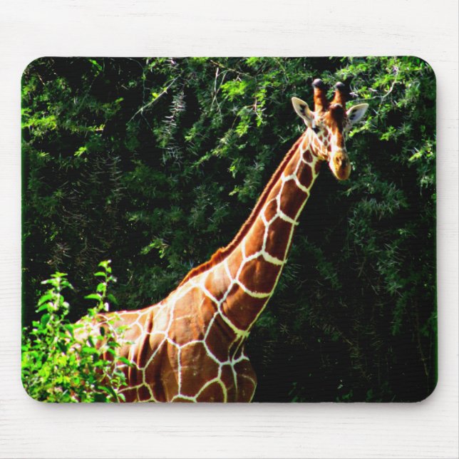 Mousepad Girafa de Samburu (Frente)