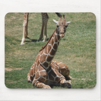 Mousepad Girafa do bebê