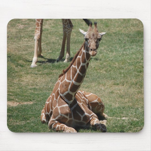 Mousepad Girafa do bebê (Frente)